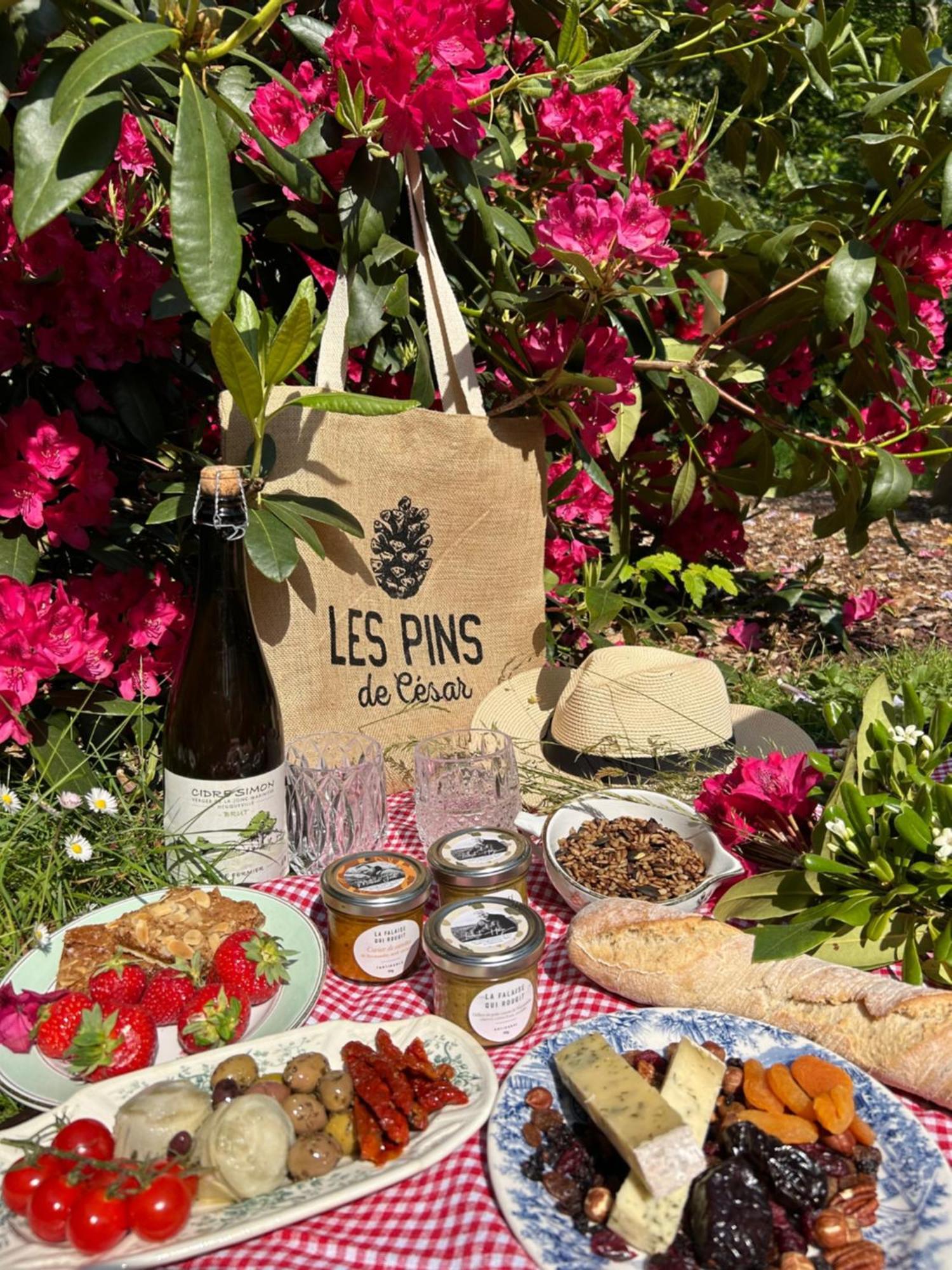 Les Pins De Cesar - La Campagne D'Etretat Hotel Saint-Jouin-Bruneval Екстериор снимка